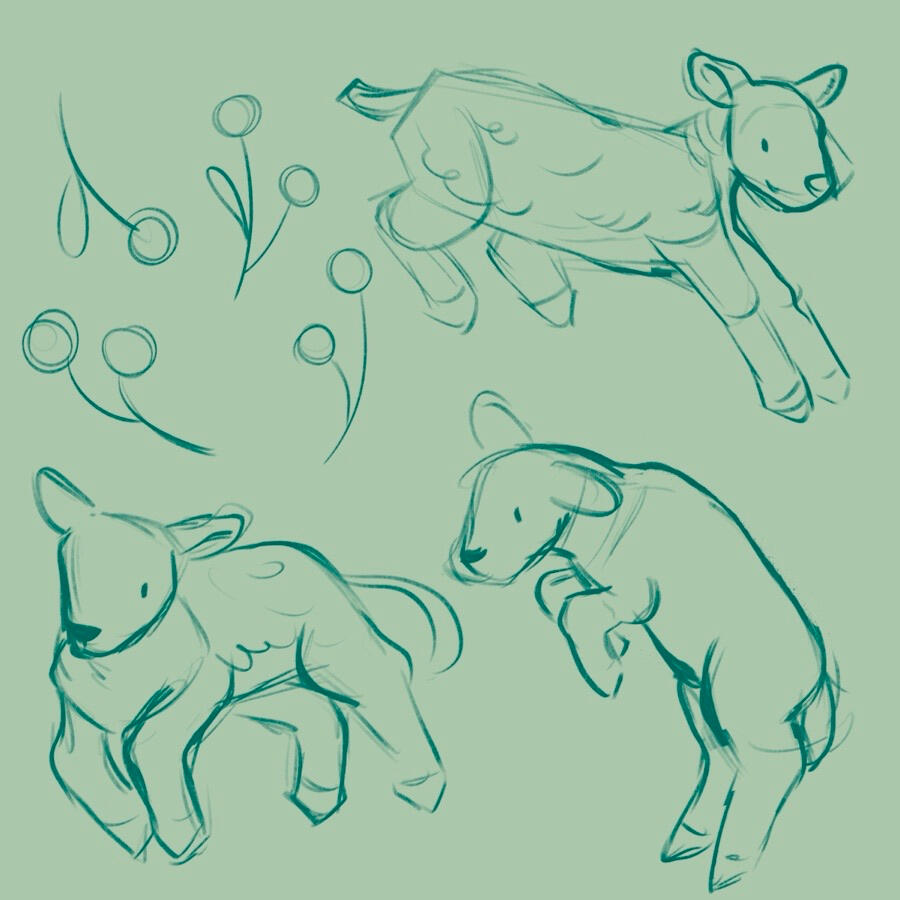 Little Lamb Process